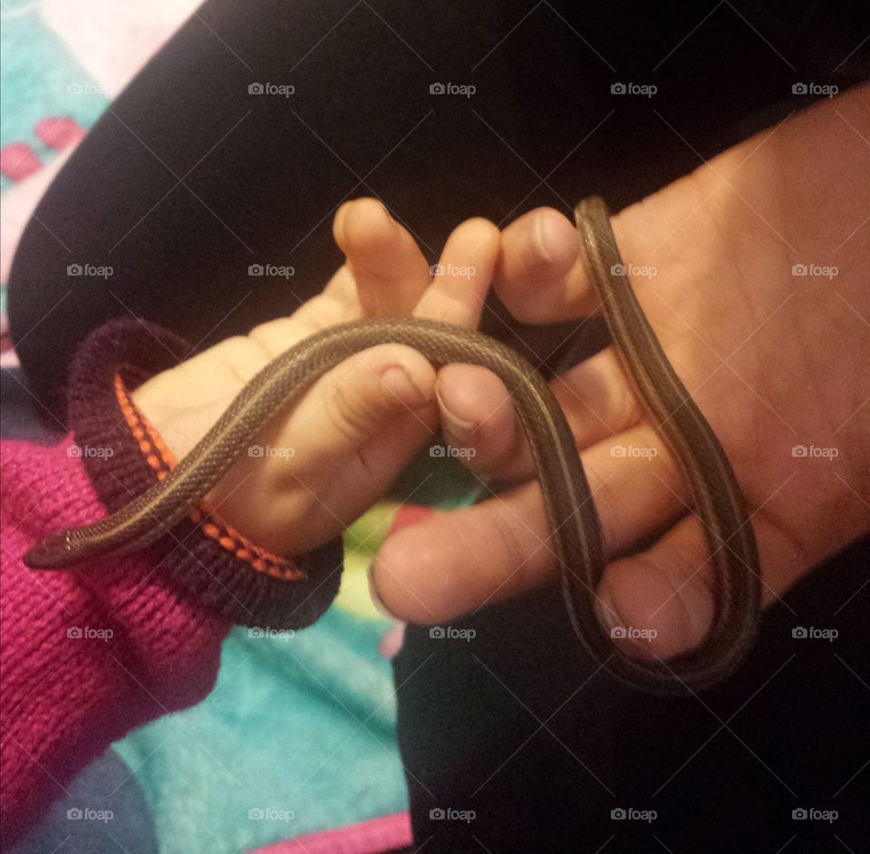 little garden snake friend