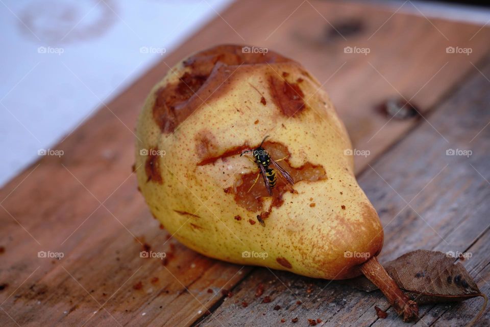 the overripe pear