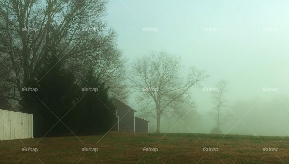 Barn in the Fog