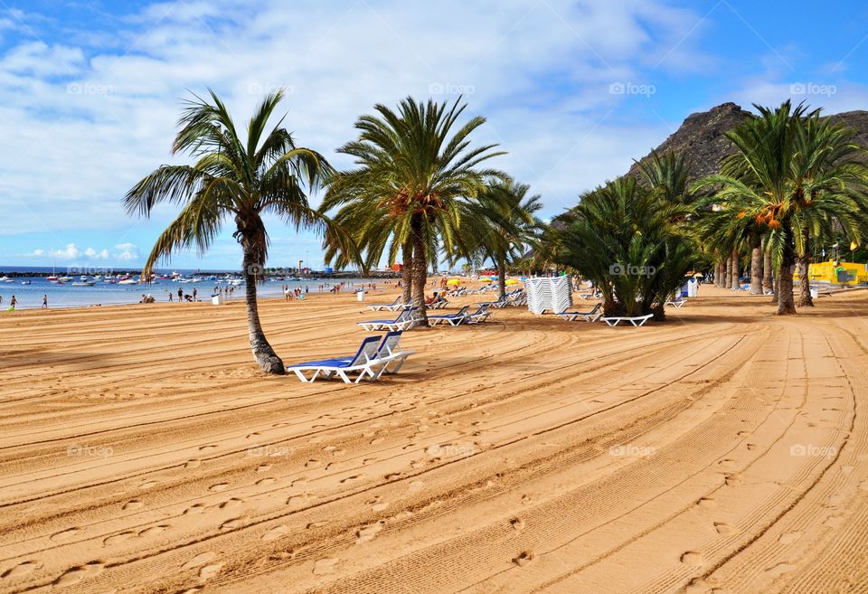 Beach, Sand, Tropical, Palm, Seashore