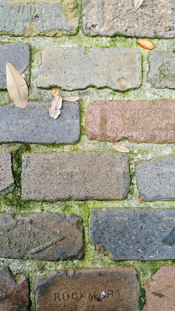 mossy bricks