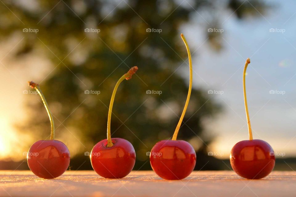 Close-up of red cherries