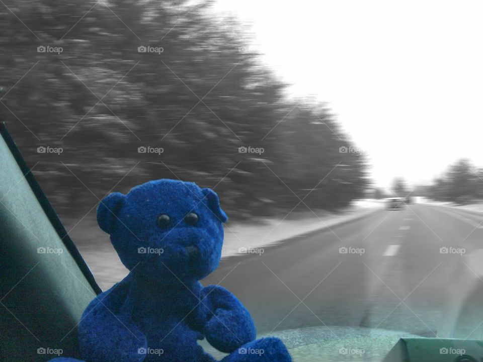 On the road with Blue Bear