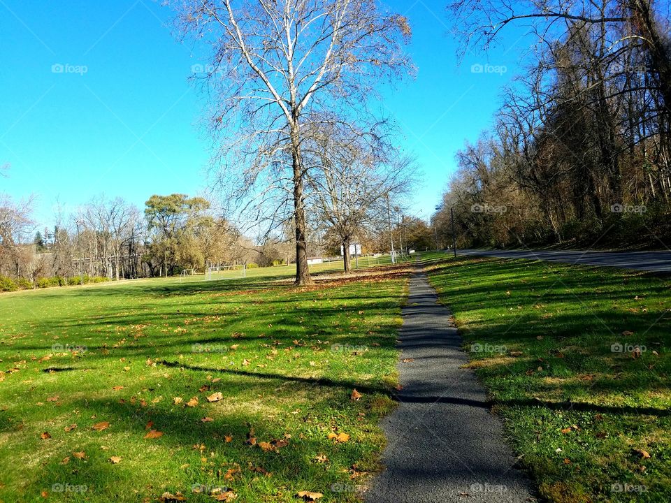 Fall run in the park