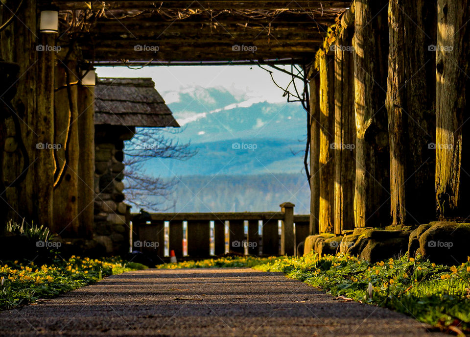 Signs of Spring. A hazy view of the mountains through a heavy wooden arbour. On this early spring morning the sun shone through the arbour producing beautiful shadows & illuminating the emerging green grass, purple crocuses & yellow aconite.