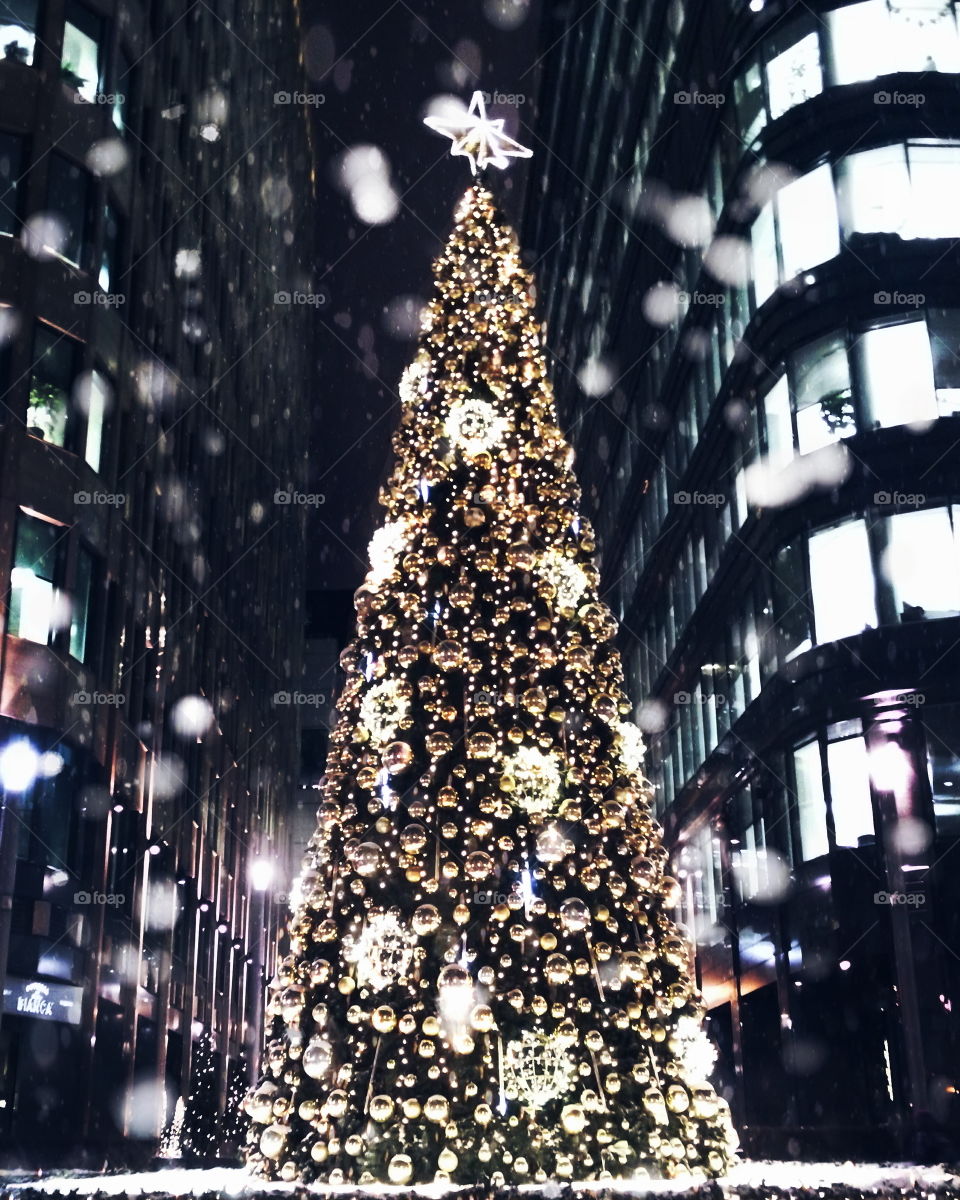 Christmas tree at night