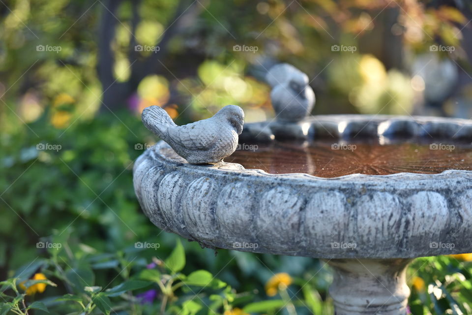 Outdoor composition, birdbath in a vintage garden
