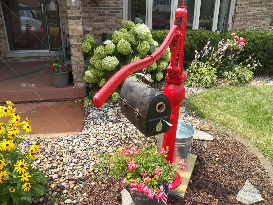 Old fashioned pump with unique bird house.