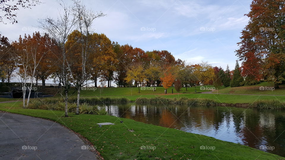 Beautiful  Stroll on Pathway