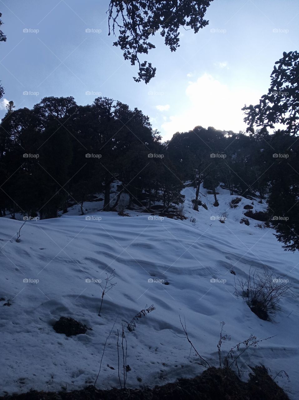 Moutains and snow:My kind of happiness