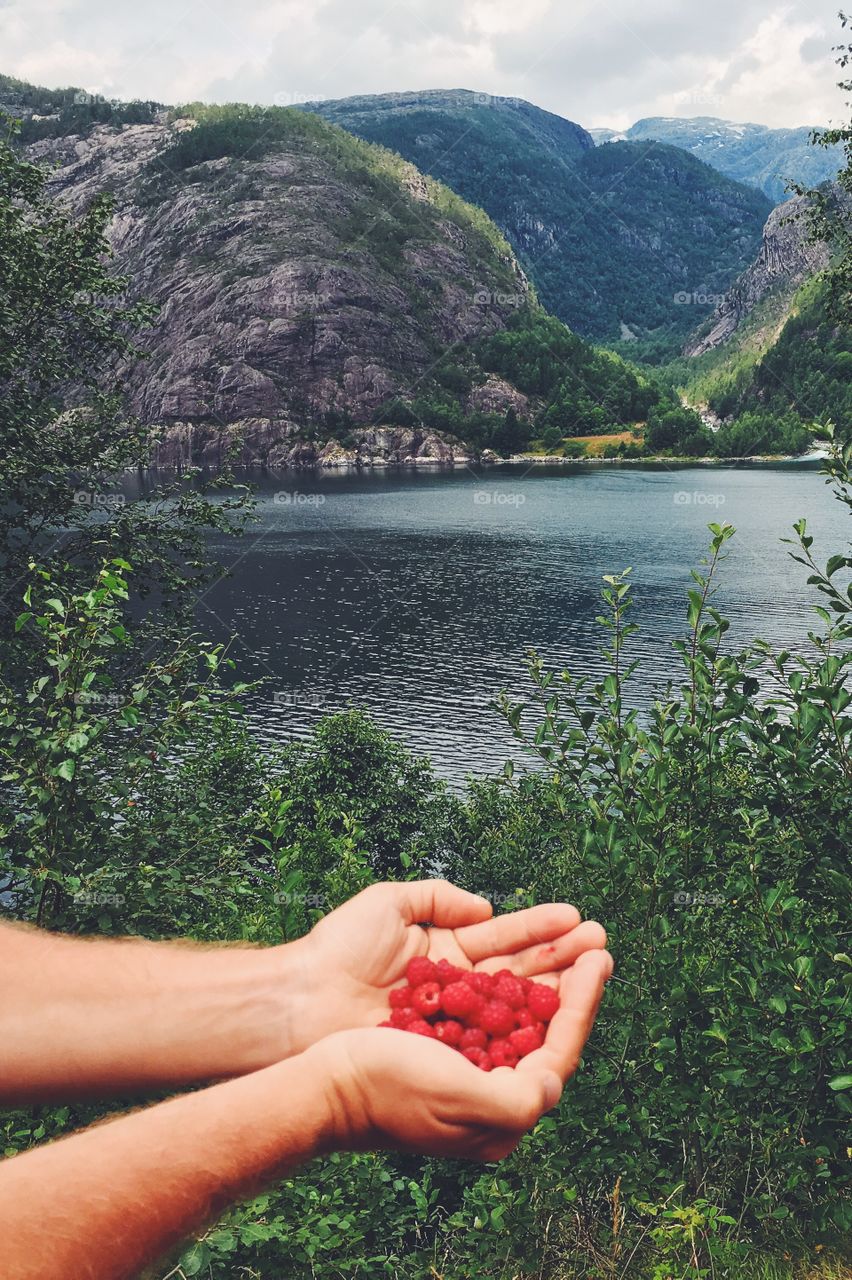 Landscape, Nature, Tree, Outdoors, Water