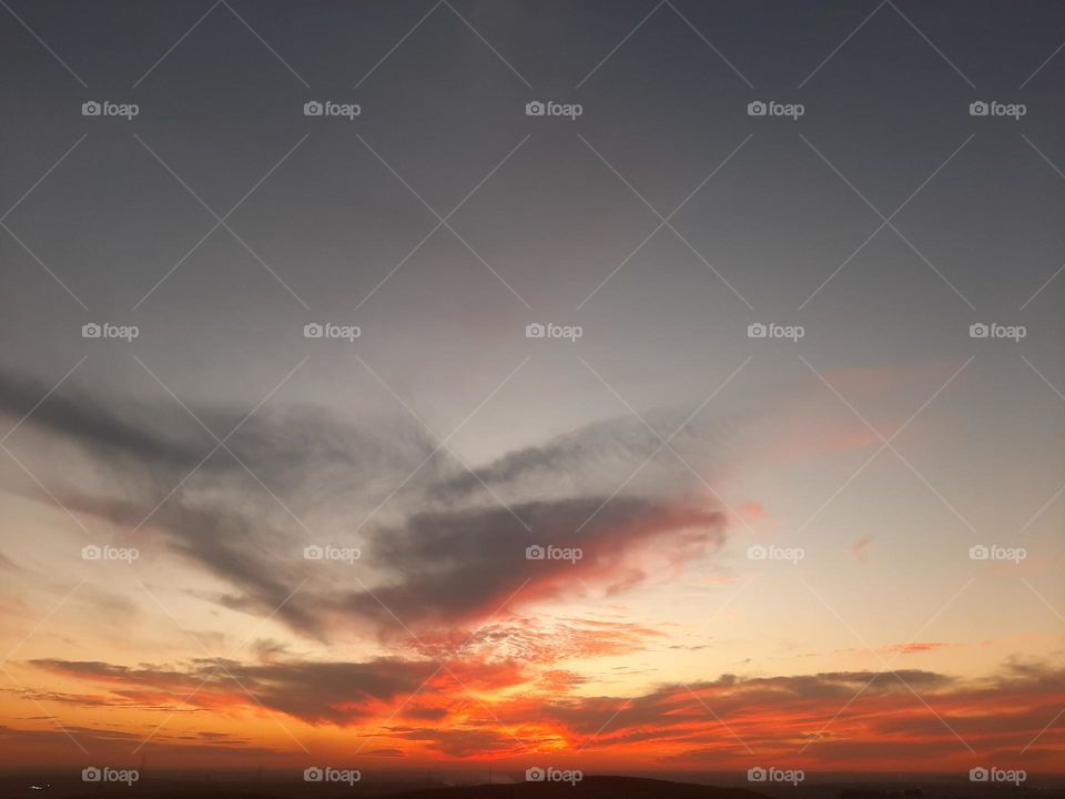 Please, I want you to support me, I need your help, I am poor, I need dollars, please