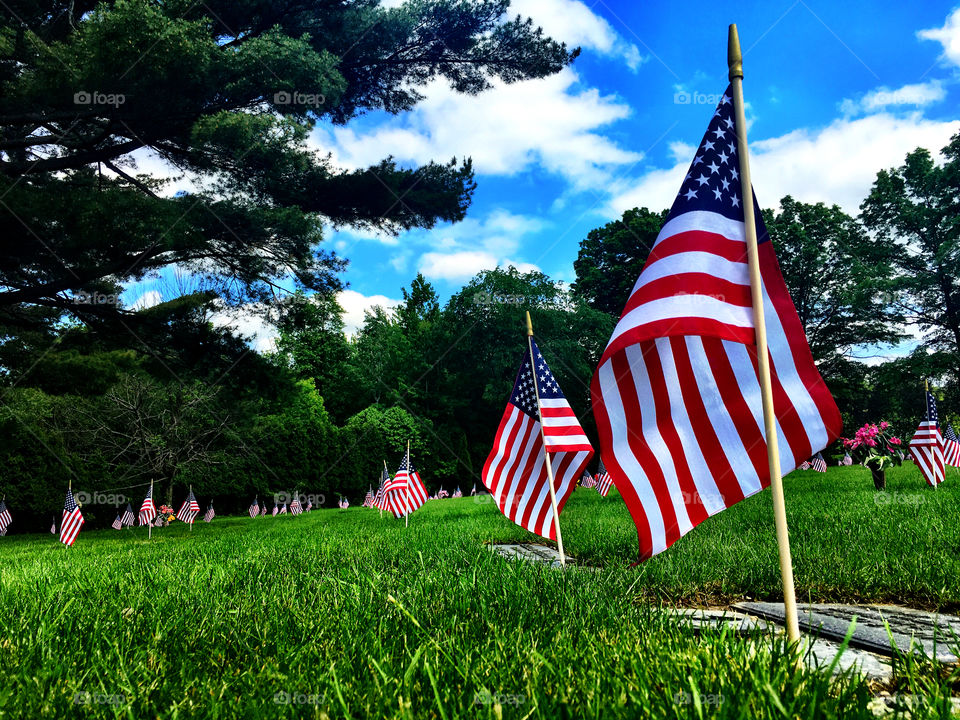 US Flags on military graves.