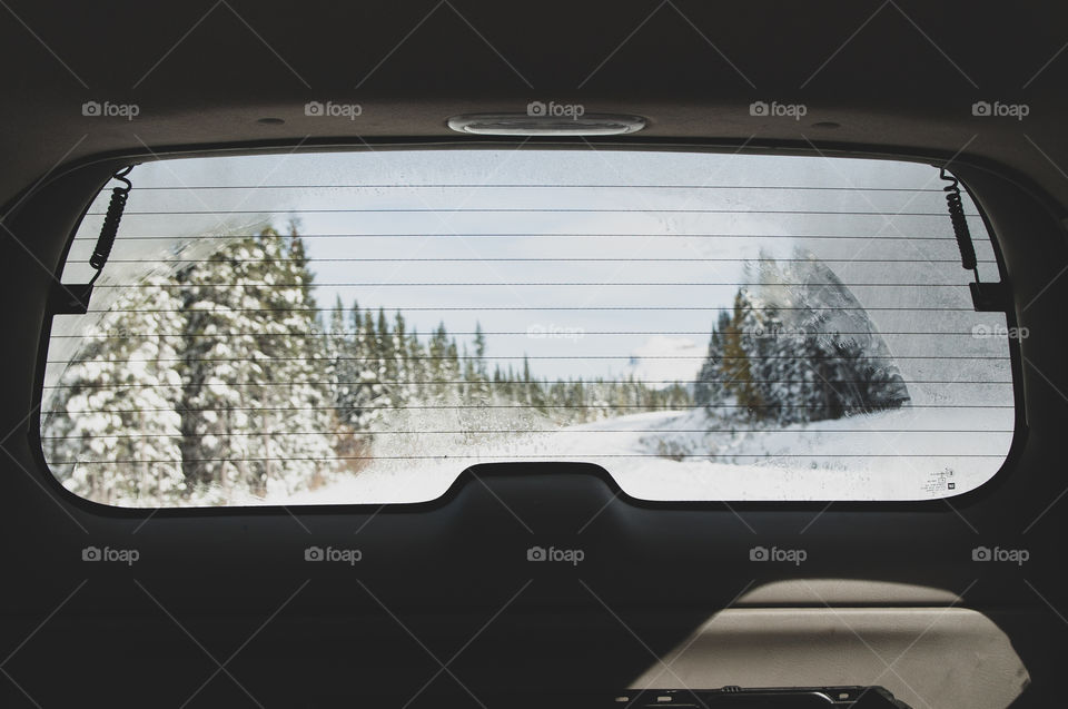 rear view of a car window against snowcapped forest