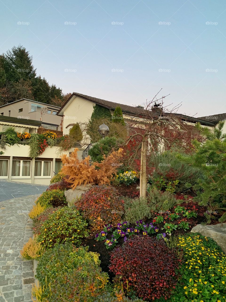 Plants and house in Switzerland 