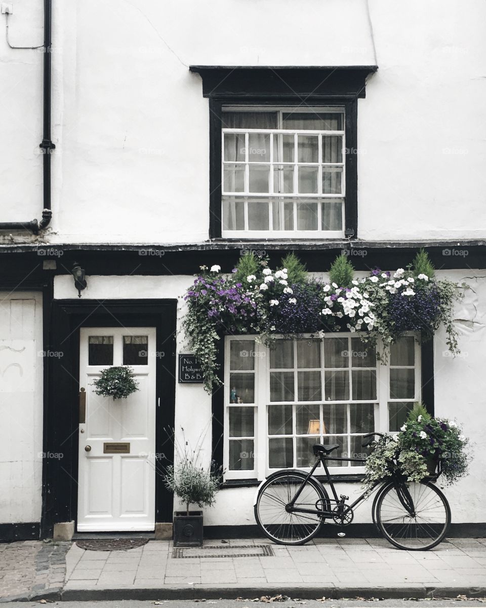 lovely facade view with beautiful flowers