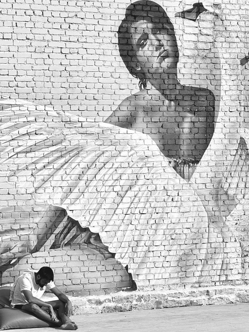 graffiti on the wall a beautiful girl and a swan, the girl looks at a man sitting near the wall