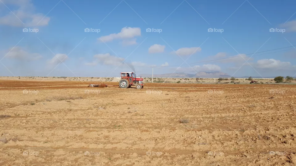 agriculture
