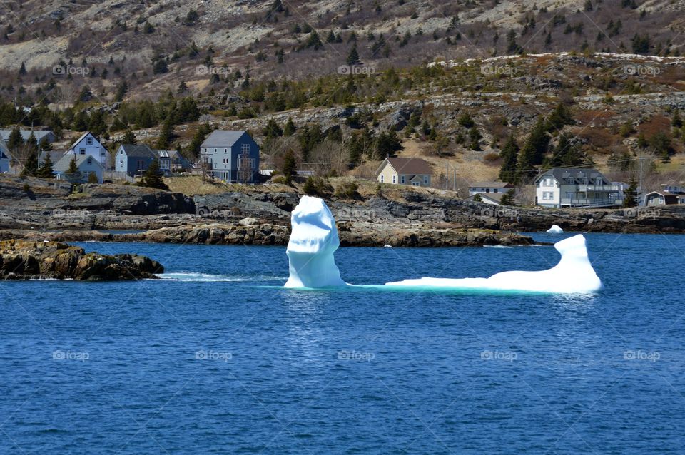 Iceberg Monster