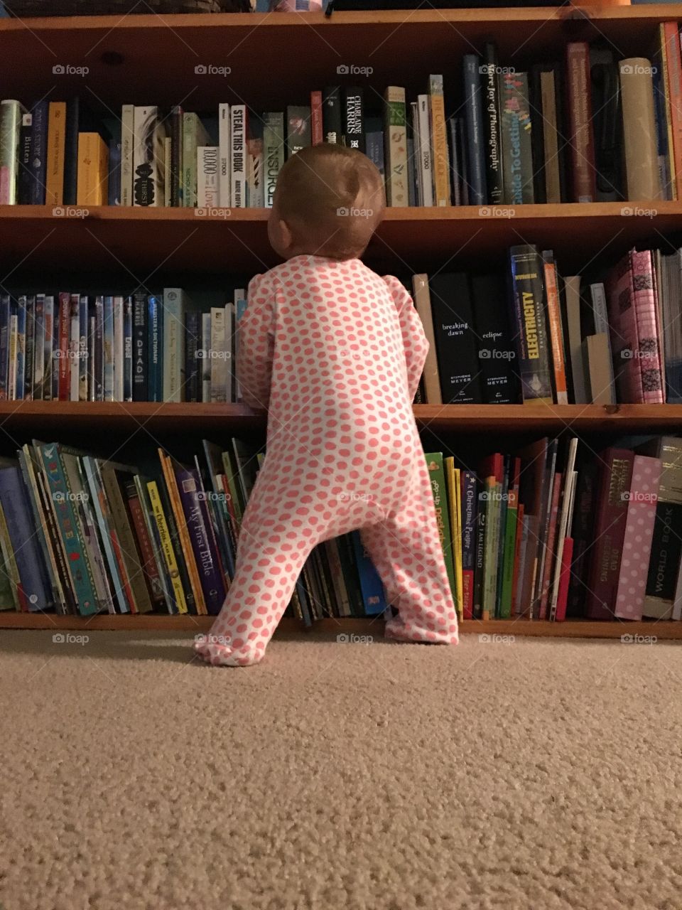 Bookshelf and a baby... And it starts 