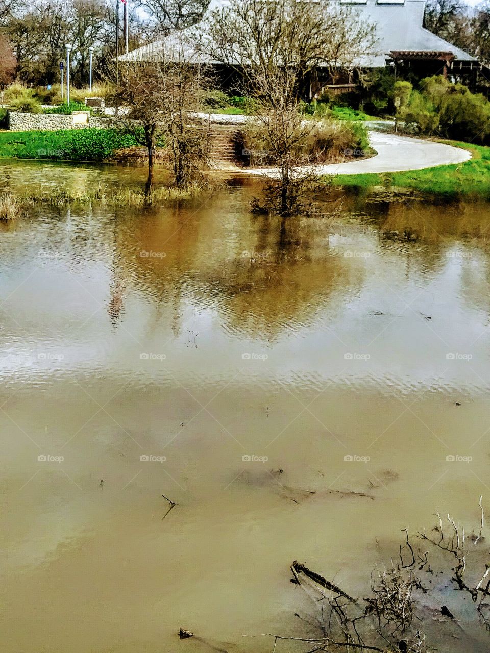 flooded parking lot of wetlands
