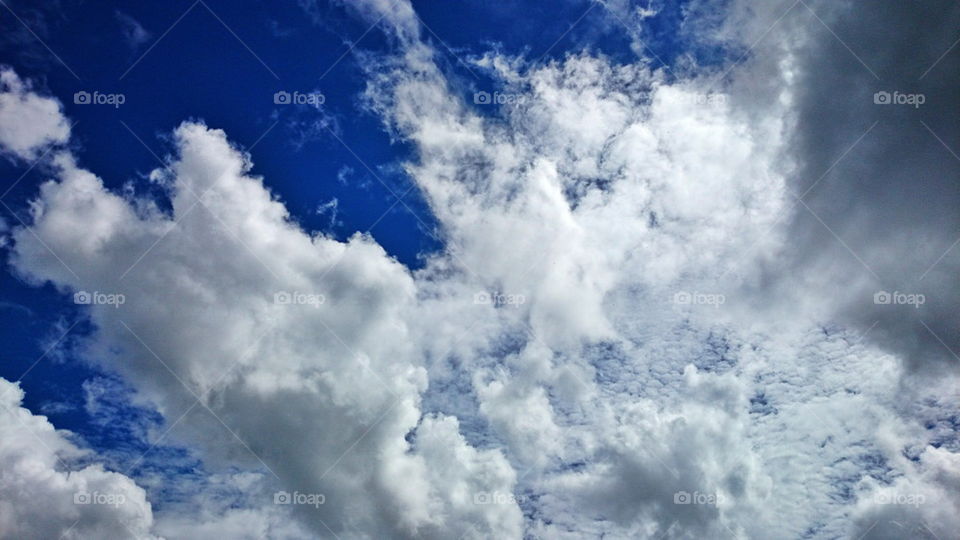 Sky
