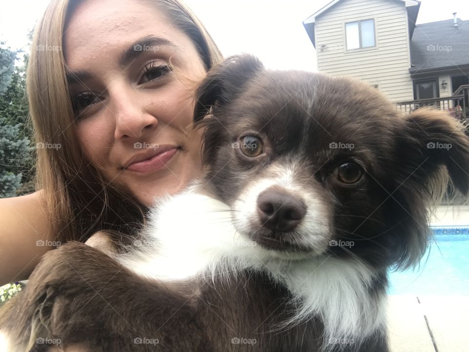 Portrait, Dog, Cute, Young, Pet