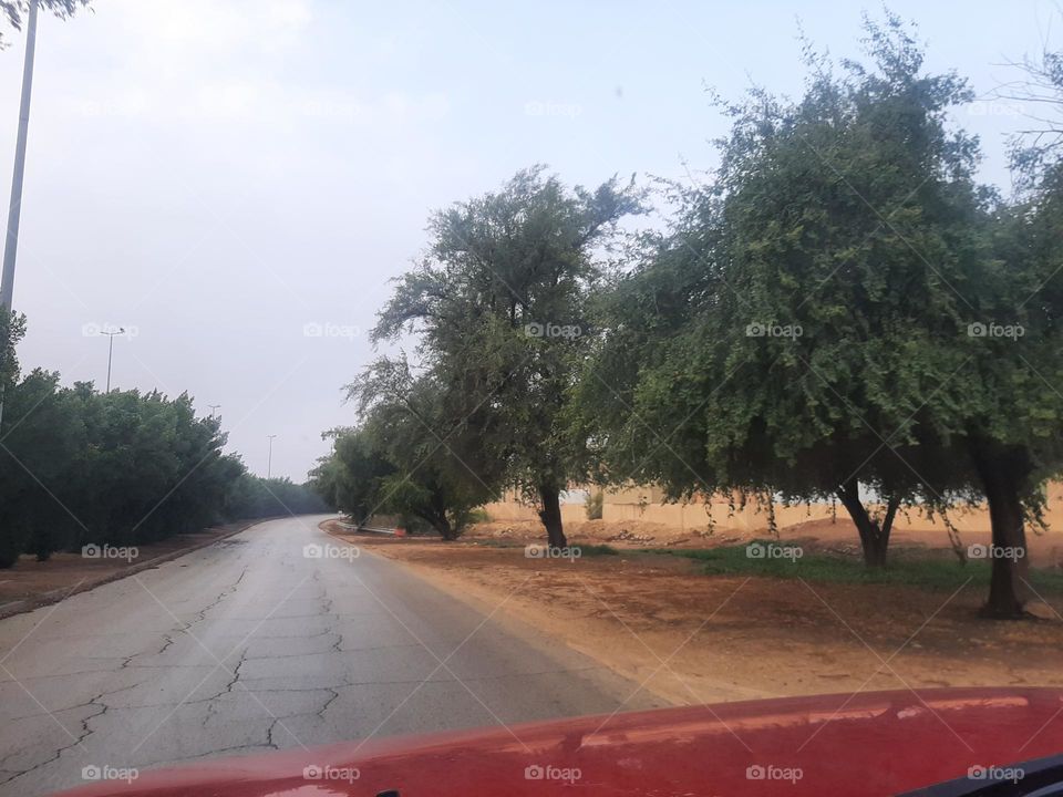 Please help me, I am very poor, I need your support and God is in need