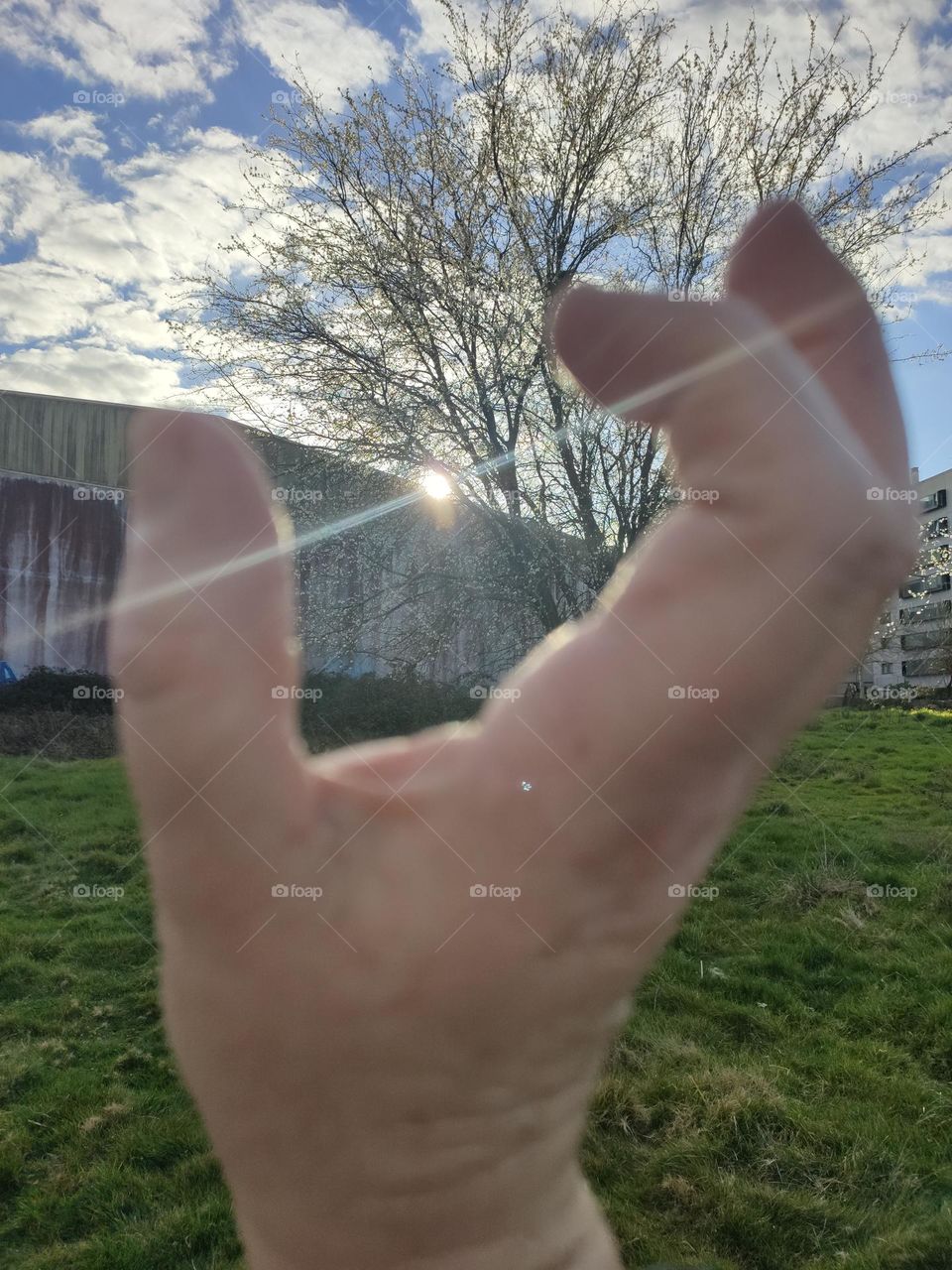 the sky are the limit.