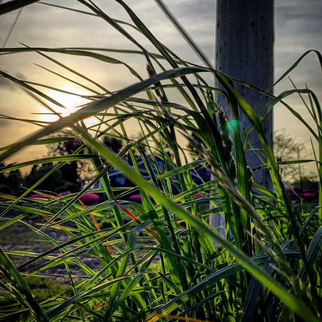 Beauty is all around us