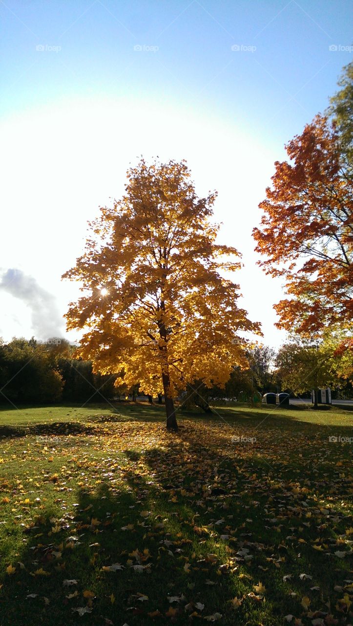 Bright colours off beautiful nature