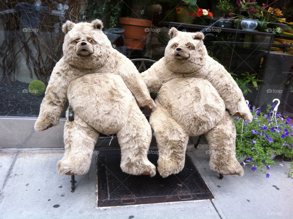 2 BEARS