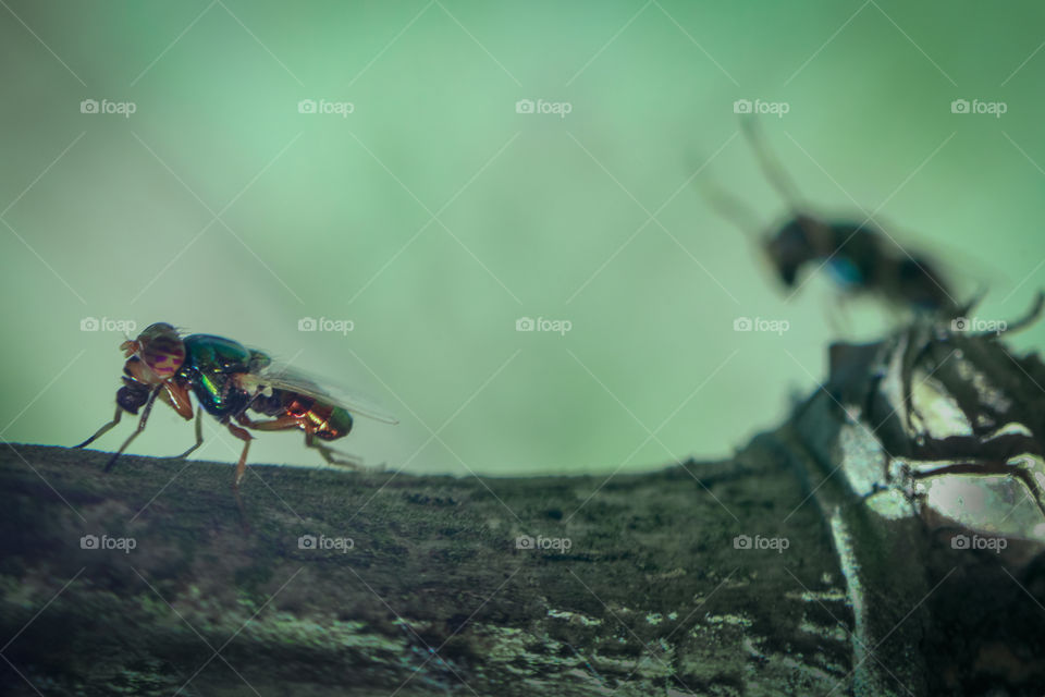 Don't leave me behind