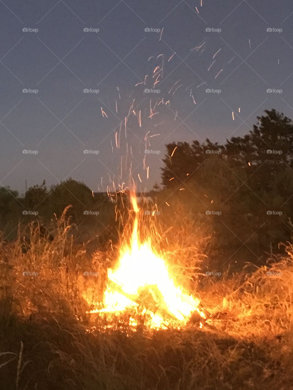Bonfire at night 