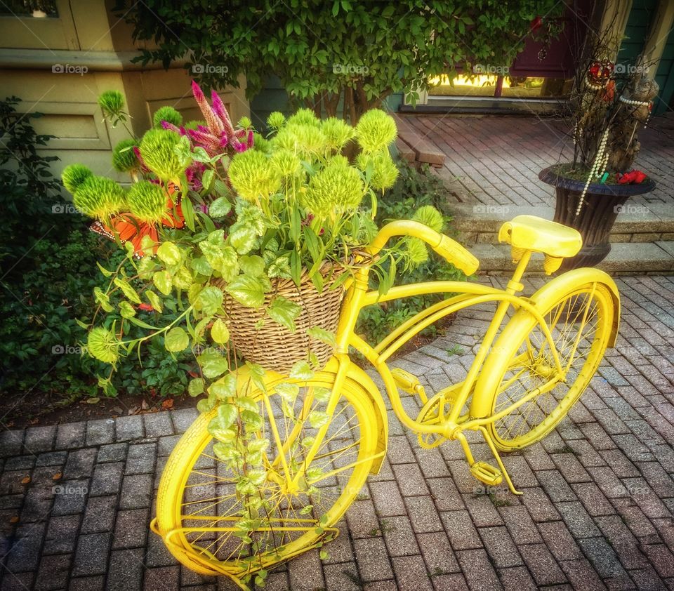   Curious yellow. Bicycle painted entirely yellow with a basket overflowing with greenery