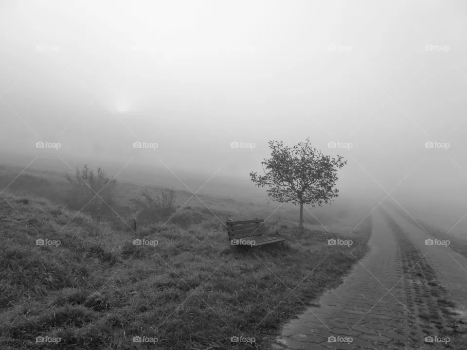 Nebel