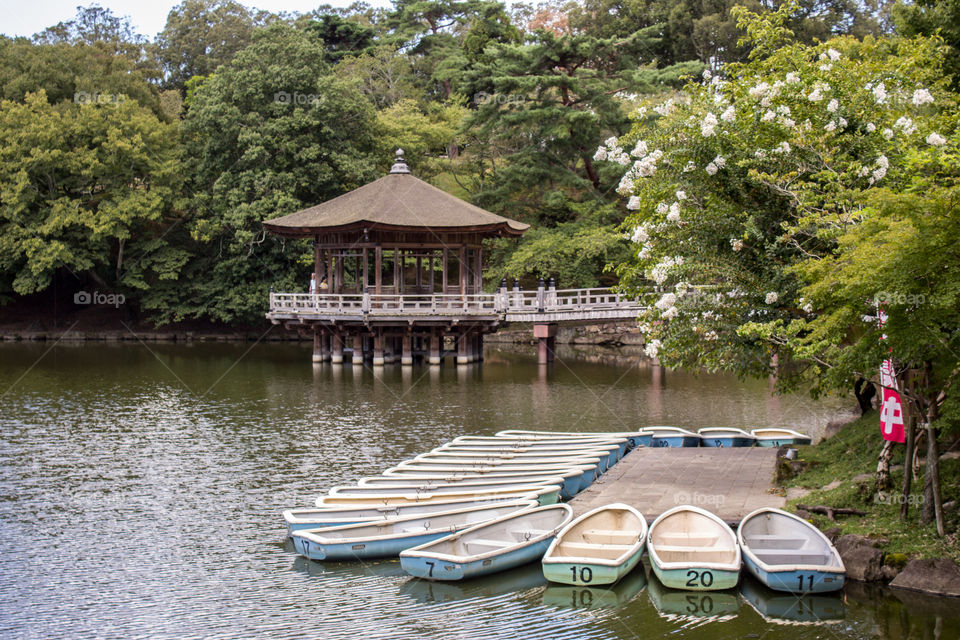 Wooden Boats in Japan