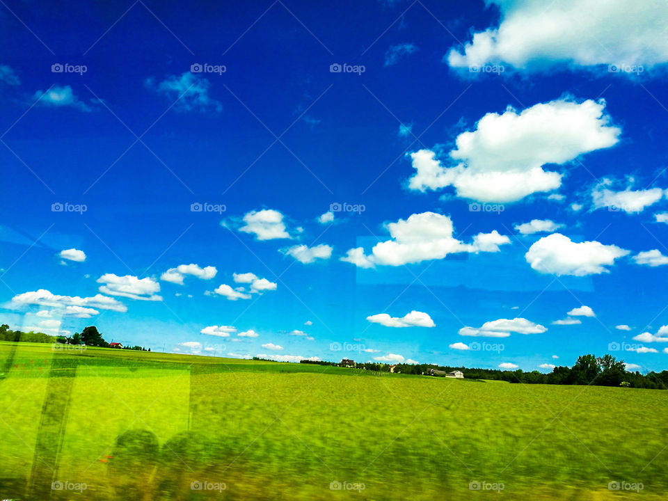 Field, Hayfield, Landscape, Grass, Rural