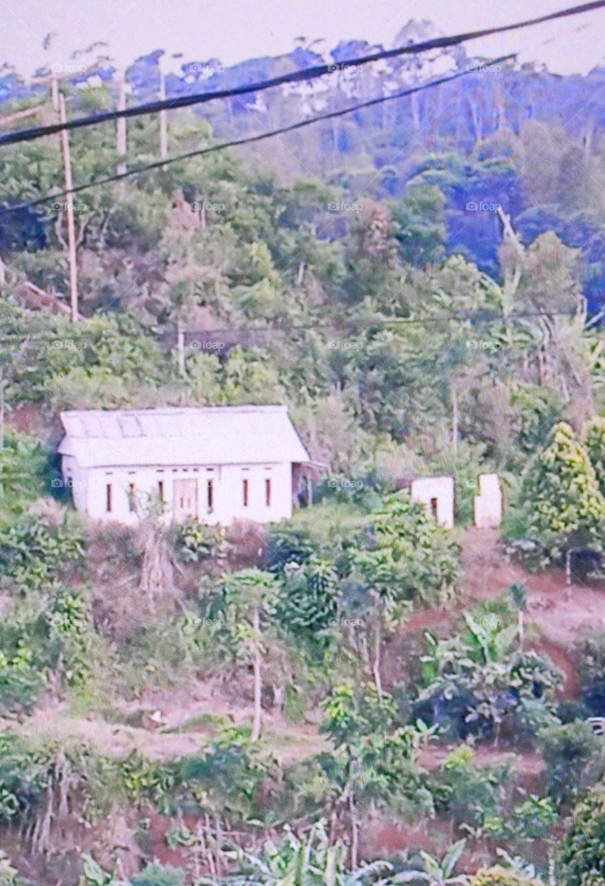 Among the trees on a steep hillside, the owner of the house chose to build the house because it was closer and easier to cultivate his garden which was not far from the house.