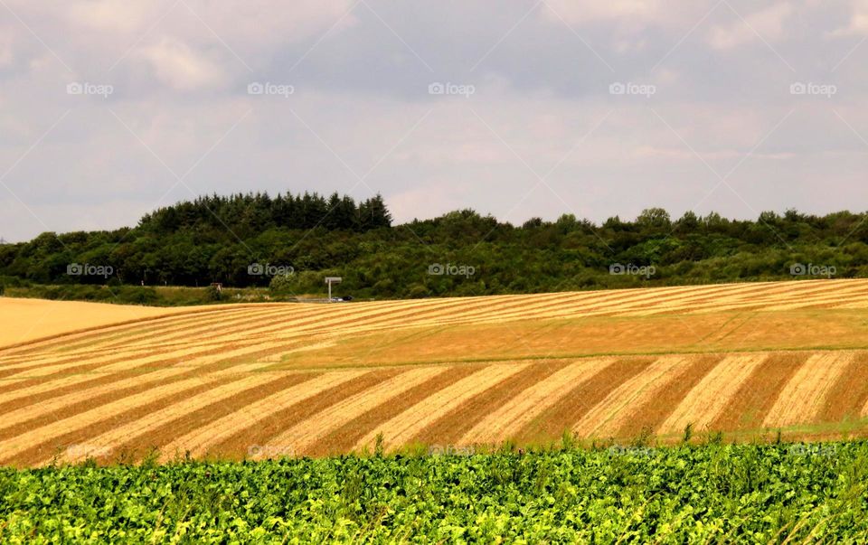 rural patterns