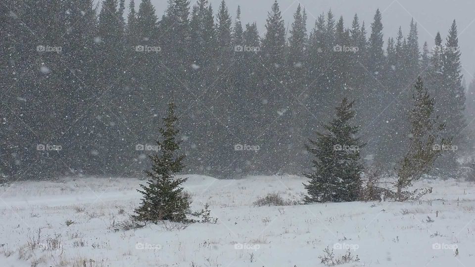 Snowing in the mountains