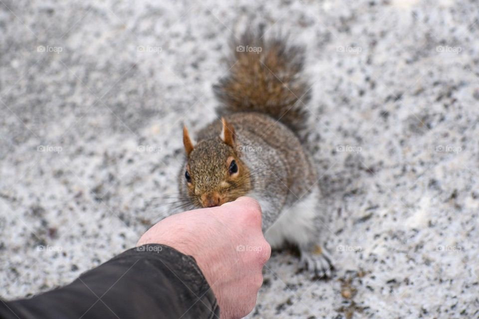 Who wouldn’t be in love with this friendly squirrel? They were so friendly and happy when we gave them some cherries! Love them! 