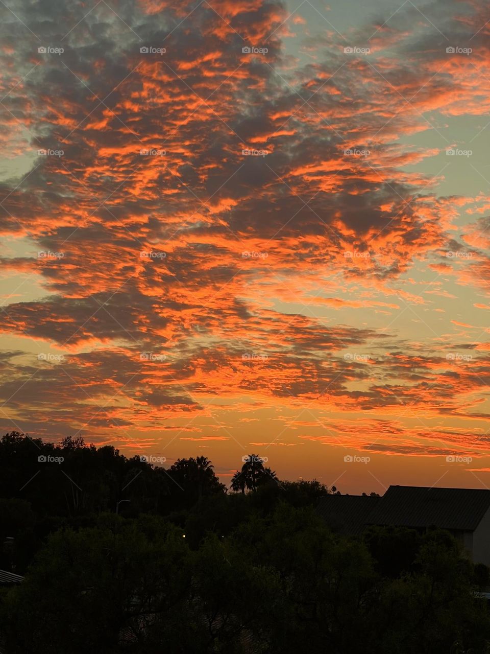 Beautiful sunset near the Upper Newport Bay in Newport Beach California