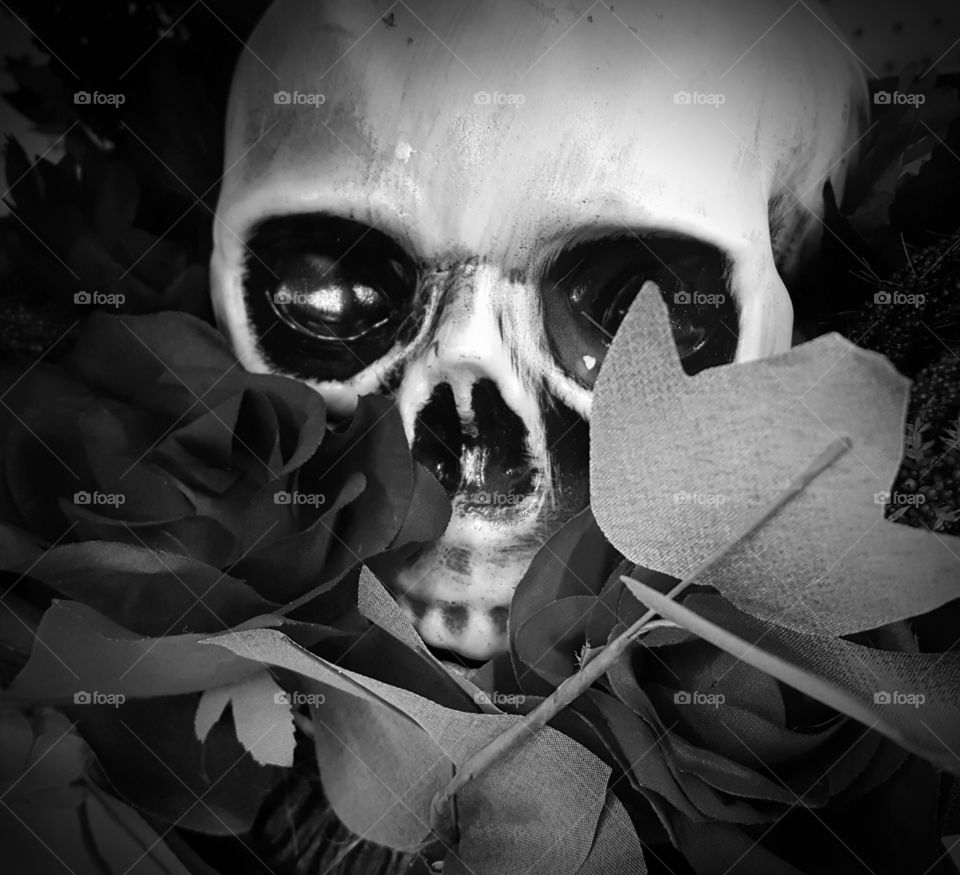 skull grayscale