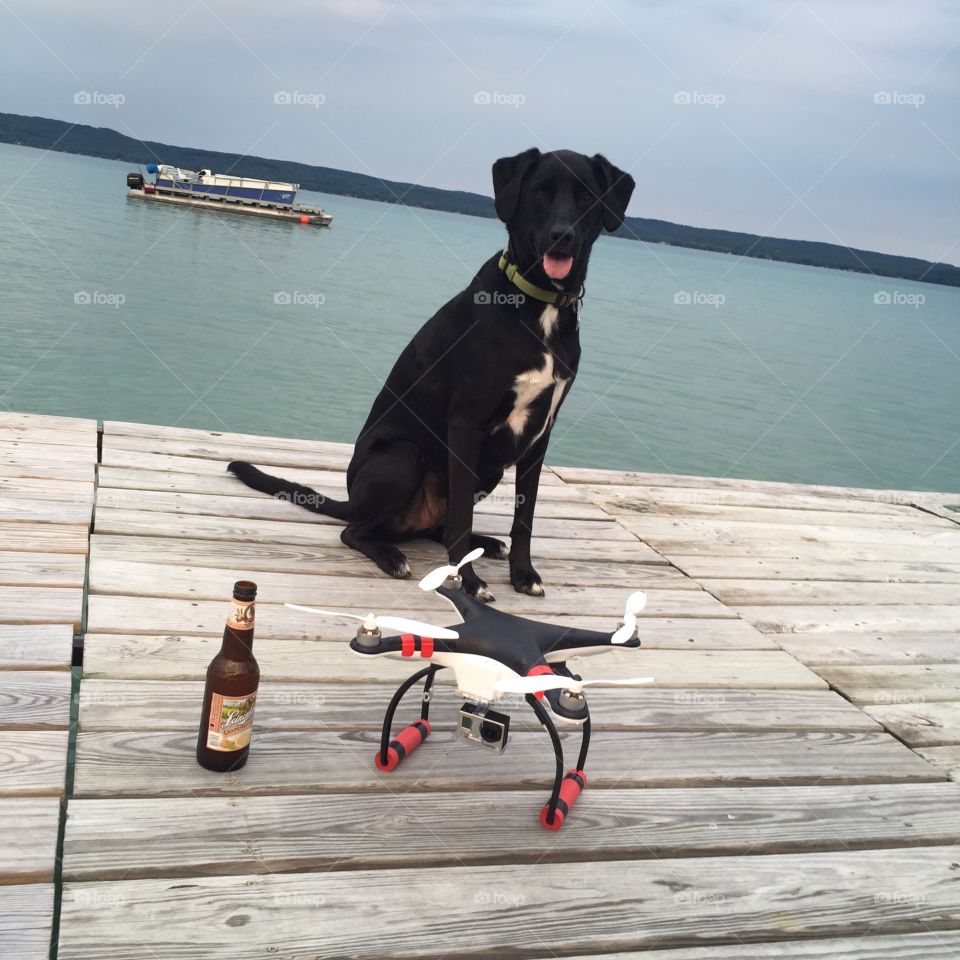 Drone dog 