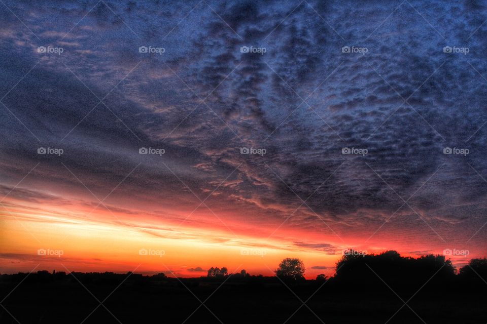 Dramatic Sunset. A dark and dramatic sunset over a line of trees.