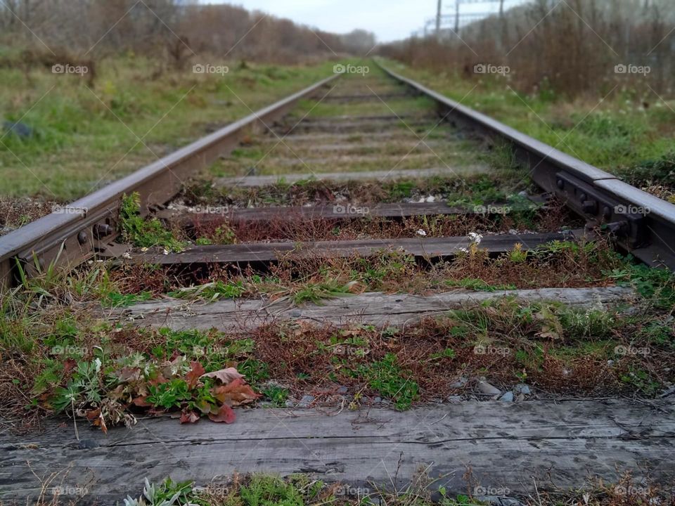 Abandoned road