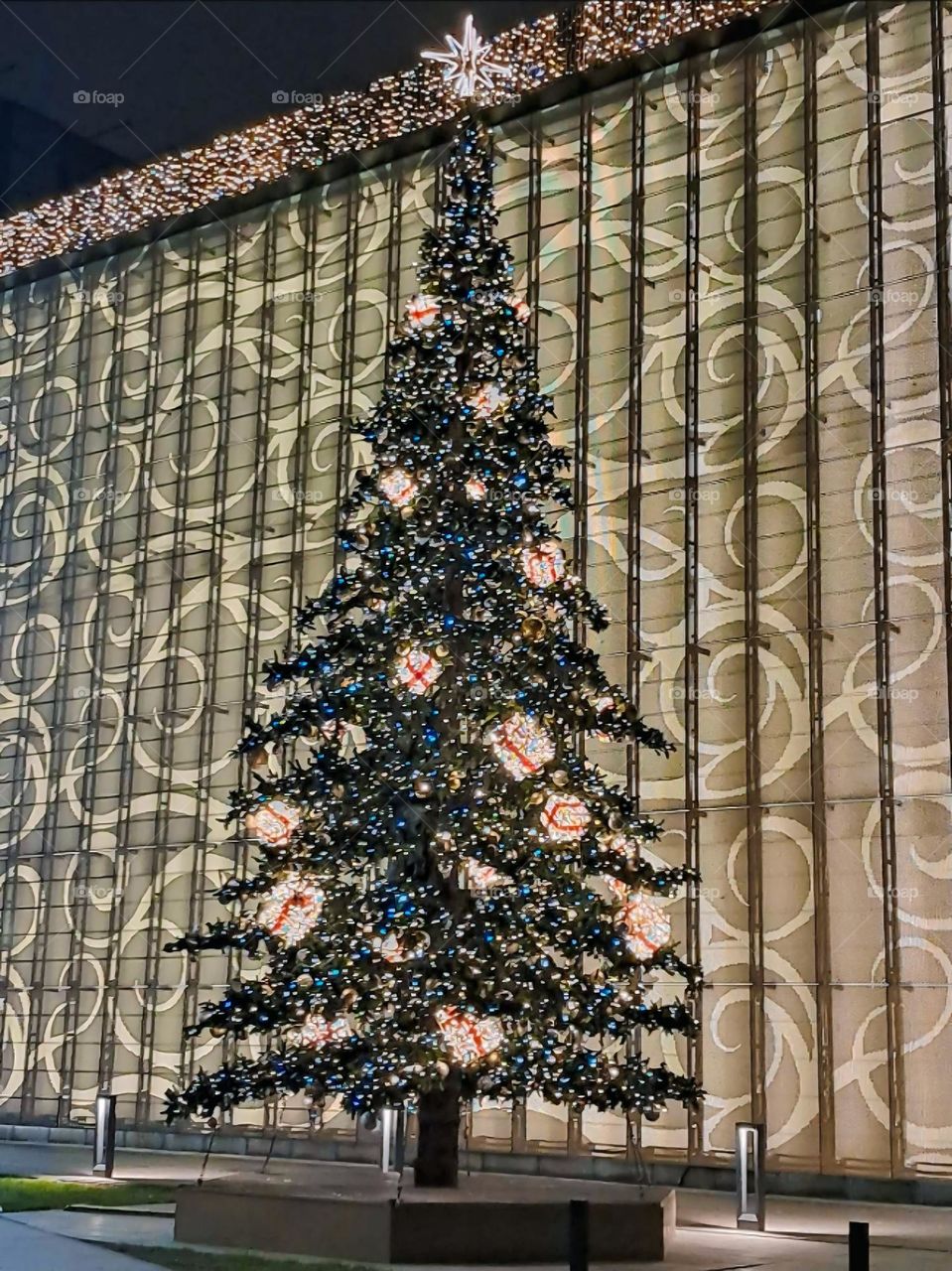 Festive Christmas Tree at Night