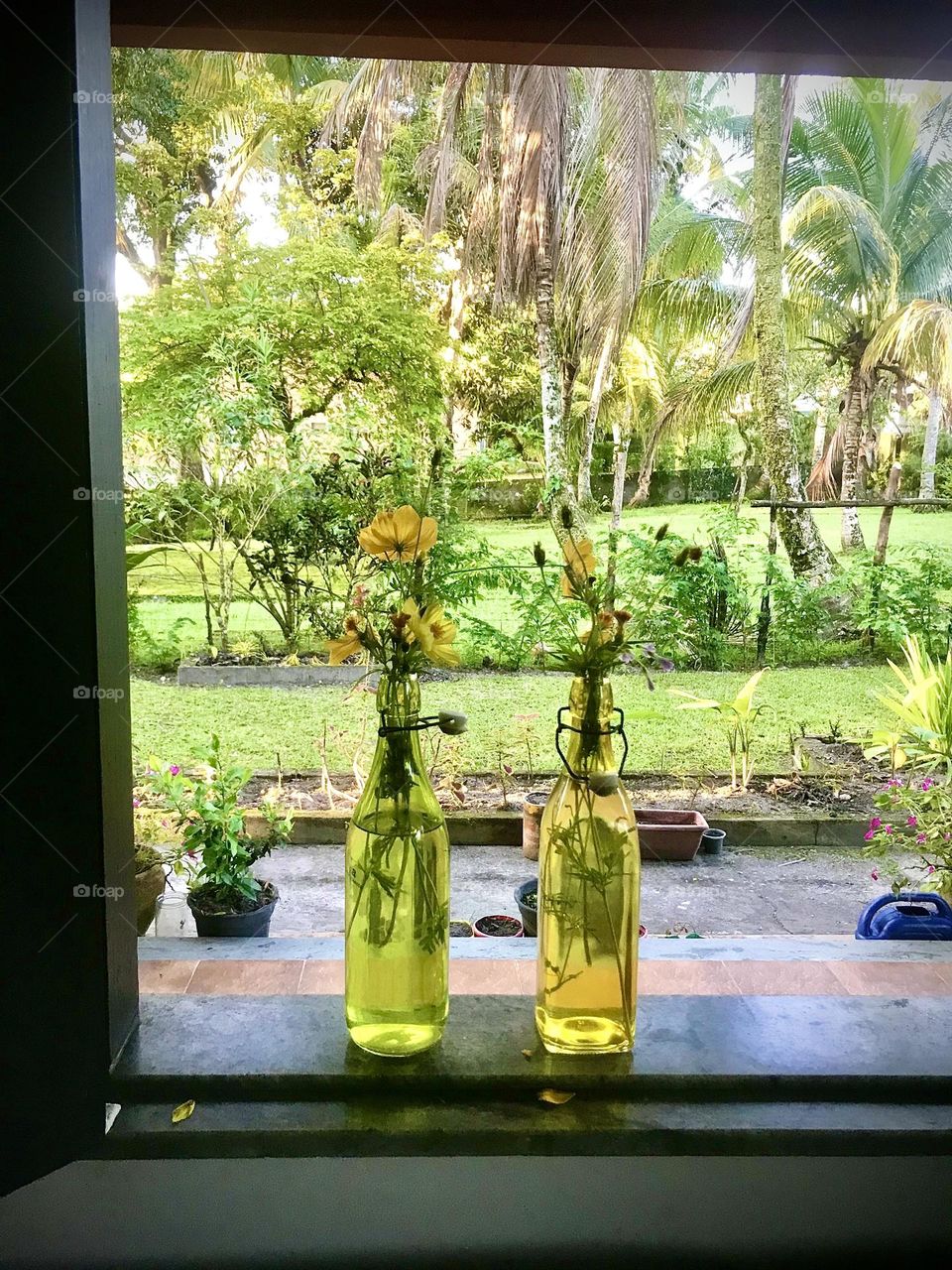 two yellow vases with yellow flowers on a windowsill