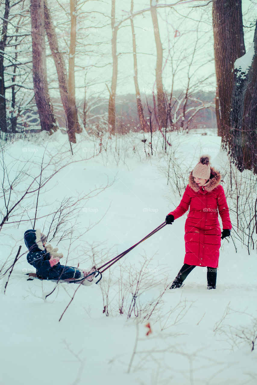 Woman pulling sled with her little daughter, a few years old girl, through forest covered by snow while snow falling, enjoying wintertime, spending time together. Mother is wearing red winter coat and wool cap, toddler is wearing dark blue snowsuit